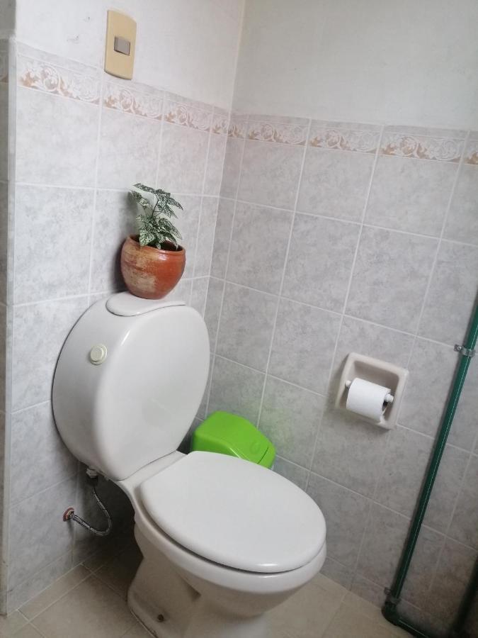 Hostel Cultural Pata Y Perro Тариха Экстерьер фото